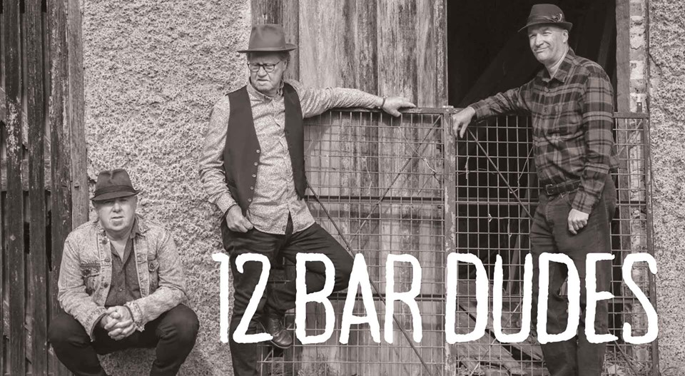 12 Bar Dudes|Saturday Night Blues | Hotel Blue